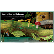 Laden Sie das Bild in den Galerie-Viewer, Haba Buch - Grüner Planet, Das Leben in unseren Wäldern