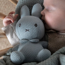 Laden Sie das Bild in den Galerie-Viewer, Miffy - Stoff Kuscheltier Hase mint